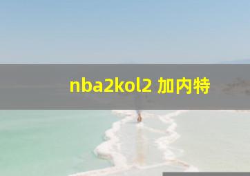 nba2kol2 加内特